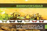 MARIPOSAS - Bosques Nativos Argentinos€¦ · mariposas nos muestra que estamos en una zona con una diversidad vegetal considerable, ya que las larvas de estos insectos son específicos