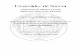 Universidad de Sonoracp.isi.uson.mx/practicas_docs/213200334-reporte.pdf · por un contribuyente, para finalmente agregarle a las facturas el sello digital del SAT. El proyecto será