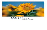 ECE 791 en U 14 Esquel-Chubut - WordPress.com...En el ciclo lectivo 2012 la ECE 791 ha fortalecido su propuesta curricular y ha podido sumar más y nuevas propuestas de inclusión