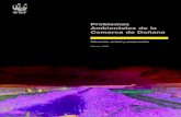 Problemas Ambientales de la Comarca de Doñanaawsassets.wwf.es/downloads/problemas_ambientales_en_donana1.… · y efectos de los distintos problemas, y elaborar unas fichas técnicas