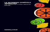 Actividad Citrícola 2018 (Web) - Federcitrus · Actividad Citrícola 2018 (Web) Created Date: 5/31/2018 12:40:45 PM ...