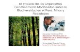 El Impacto de los Organismos Genéticamente Modificados ......Biodiversidad en el Perú: Mitos y Realidades Alexander Grobman PhD ... propios MITOS de sus dioses y la reencarnación