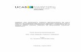 Tesis Doctoral presentada por: Mcs. José Alejandro Palmero ...biblioteca2.ucab.edu.ve/anexos/biblioteca/marc/texto/AAT3395.pdf · FACULTAD DE HUMANIDADES Y EDUCACION ESTUDIOS DE