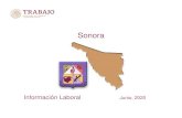 Sonora - Gobierno | gob.mxstps.gob.mx/bp/secciones/conoce/areas_atencion/areas_atencion/w… · Huelgas Estalladas (número) 4 --Enero-Marzo 2020 Incremento salarial contractual real