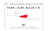FAO - PERFILES NUTRICIONALES POR PAÍSES NICARAGUAbvssan.incap.int/local/file/PubNut-Perú/texcom/nutricion/NICmap.pdf · 1993 y 1998. La evaluación más reciente a nivel nacional