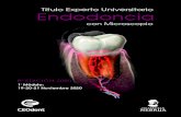 Título Experto Universitario Endodoncia · Endodoncia clínica en directo: El profesorado del curso realizará una endodoncia sobre paciente para que el alumno pueda ver y entender