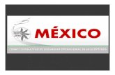 NUEVO AEROPUERTO INTERNACIONAL DE MÉXICO...Estamos seguros de que se desarrolla la mejor solución a largo plazo. ... PRESENTACION HST HST MEXICO CENTRO DE MANDO POLICIA FEDERAL JUN