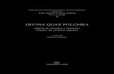 DIVINA QUAE PULCHRA - Sufueddu.org · terpreta i dati iconografici, indaga sulla genesi, il significato, la relazione dei vari tipi iconografici, e studia l’influenza su di essi