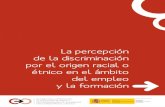 La percepción de la discriminación por el origen racial o ... · En el ejercicio de estas funciones, el Consejo puso en marcha en 2010 un estudio sobre la percepción de la discriminación