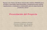 Presentación del Proyecto · Presentación del Proyecto . Consultora: Katelyne Ghémar . Directora MAIA sprl ,Bruxelles . Montevideo, 08/05/2013 ... que traducen una conciencia más
