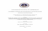 UNIVERSIDAD NACIONAL DE CHIMBORAZO VICERRECTORADO …dspace.unach.edu.ec/bitstream/51000/2331/1/UNACH-IPG... · 2016-07-12 · universidad nacional de chimborazo vicerrectorado de
