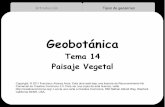 Geobotánica - UM · 3 Introducción Tipos de geoseries 1.Deben estar bajo un macroclima homogéneo (Un piso Bioclimático) 2.Los sustratos deben tener características físicas y