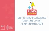 Taller 3: Trabajo Colaborativo (Modalidad Virtual) Sumo ... · El trabajo colaborativo es una metodología fundamental de los enfoques actuales de Desarrollo Profesional Docente.