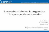 Biocombustibles en la Argentina: Una perspectiva económicalas implicancias de los biocombustibles. Delinear cuáles podrían ser los rasgos centrales de una estrategia de largo plazopara