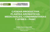 CADENA PRODUCTIVA PLANTAS AROMATICAS, … Cifras...Valor Miles FOB Dol Ton Netas Expo. I. LAS PAMC EN COLOMBIA 1.3 Exportaciones Colombianas ... Elaboración STN con cálculos basados