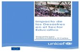 Indice de Seguridad escolars3.amazonaws.com/inee-assets/resources/UNICEF... · UNICEF | Proyecto DIPECHO VII Suramérica Introducción Los desastres se producen no solo por la exposición