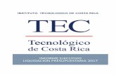 INSTITUTO TECNOLOGICO DE COSTA RICA...2017/12/31  · Para el año 2017, la Liquidación de ingresos efectivos del Instituto Tecnológico de Costa Rica, alcanzó un monto acumulado