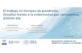 El trabajo en tiempos de pandemia: Desafíos frente a la … · 2020-05-21 · El trabajo en tiempos de pandemia: Desafíos frente a la enfermedad por coronavirus (COVID-19) 60.3%
