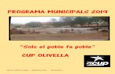 PROGRAMA MUNICIPALS 2019 · L’entrada de la CUP a Olivella ha de significar un impuls per a les polítiques de participació, control col·lectiu, democràcia directa i assemblearisme.