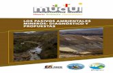 LOS PASIVOS AMBIENTALES MINEROS: DIAGNÓSTICO Y …sobre los pasivos ambientales mineros, y a través de casos específicos de la problemática ambiental y socioeconómica generada