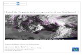 Estudi de l impacte de la ciclogènesi en el mar Mediterranidiposit.ub.edu/dspace/bitstream/2445/13923/1/marta_ribo.pdf · departament d’Astronomia i Meteorologia, cal recordar