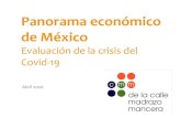 Panorama económico de Méxicopued.unam.mx/export/sites/default/archivos/covid/Calle.pdf · United Kingdom US China 0 1 10 100 1,000 10,000 ... Campbell Soup WalMart Kimberly-Clark
