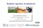 Robots ápodos modulares - WikiRobotics · 3 Problema de la locomoción (I) Nivel superior Percepción del entorno Planificación de trayectorias Navegación Toma de decisiones Nivel