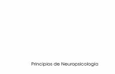 Principios de Neuropsicología · Principios de Neuropsicología La Comisión de Estándares en Evaluación Neuropsicológica, ... ¿Qué son las funciones cognitivas? ¿Qué es la
