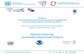 Proyecto “Implementación del Programa de Acción ... · del ecosistema Gobernanza Socio economía Cambio climático y elevación del nivel del mar E D ón Implementar ... Project