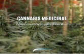 CANNABIS MEDICINAL - Pensamiento Penal · 2020-06-13 · 3 Presentación La publicación Cannabis medicinal, una cuestión de derechos se inspiró en las jornadas del mismo nombre,