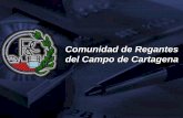 Modernizacion Zona Regable Campo de Cartagena...Sistemas de Riego 93% 6% 1% Localizado Superficie Aspersion Comunidad de Regantes del Campo de Cartagena. Dpto. Ingeniería e Informática