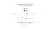 repositorio.upt.edu.perepositorio.upt.edu.pe/bitstream/UPT/882/1/Valderrama... · 2019-07-12 · iv ÍNDICE DE CONTENIDOS IN MEMORIAM II DEDICATORIA III ÍNDICE DE CONTENIDOS IV RESUMEN