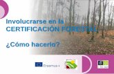 Involucrarse en la CERTIFICACIÓN FORESTAL ¿Cómo hacerlo?eforown.ctfc.cat/pdf/R43 b Involucrarse en la certificacion forestal... · de certificación forestal de manera individual.