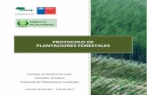 PROTOCOLO DEPLANTACIONES FORESTALES · 2017-11-22 · plantaciones forestales que se realicen en el país, considerando la protección de las cuencas hidrográficas, suelo, fauna