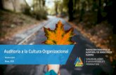Auditoría a la Cultura Organizacional€¦ · cultura y los elementos específicos de la cultura deseada que la administración puede considerar a medida que avanza en sus esfuerzos