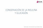 CONSERVACIÓN DE LA INSULINA Y GLUCAGÓN...En caso de hipoglucemia sin perdida de conciencia se deberá aplicar la regla del 15: 15 gr de glucosa, esperar 15 minutos repetir glucemia