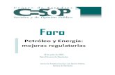 Petróleo y Energía: mejoras regulatorias · Petróleo y energía: mejoras regulatorias Ante la necesidad de que en México se implemente una política nove-dosa de exploración,