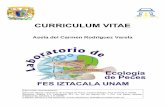 CURRICULUM VITAE - UNAMpaginaspersonales.unam.mx/files/771/general/curriculum.pdf · Facultad de Ciencias Biológicas, UANL. Junio 4 a 6 de 1997 (40 horas). 26) Construcción y adaptación