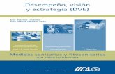 Desempeño, visión y estrategia (DVE)webiica.iica.ac.cr/argentina/sanidad/saia-dve-medidas... · 2008-06-19 · Desempeño, visión y estrategia (DVE) Interacción entre las diferentes