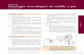 Capítulo 141 Patología neurológica de tobillo y pie › AAOS › pdf › AAOS_cap_141.pdf · III. Síndrome del túnel tarsiano A. Anatomía 1. El síndrome del túnel tarsiano