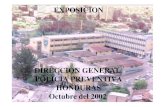 Octubre del 2002 DIRECCION GENERAL EXPOSICION › cedoc › sector › relinter › seminario_regio… · EXPOSICION DIRECCION GENERAL POLICIA PREVENTIVA HONDURAS Octubre del 2002