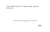 CA ARCserve® Backup para Linuxdocumentation.arcserve.com › Arcserve-Backup › Available › R16 › ...autorizado en virtud de (i) un acuerdo suscrito aparte entre Vd. y CA que
