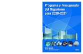 Programa y Presupuesto del Organismo para 2020-2021 · 2019-07-31 · GC(63)/2 Página v Programa y Presupuesto para 2020-2021 en síntesis Sinopsis de los recursos totales para 2020