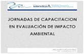 Evaluación de impacto ambiental - Municipalidad de …...Evaluación de Impacto Ambiental - Arq. María Carolina Pérez LEY Nº 5961/1992 de Preservación, Conservación, Defensa