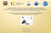 TALLER SOBRE LA INTERACCIÓN DE MAMÍFEROS MARINOS …cpps.dyndns.info/cpps-docs-web/planaccion/docs2017... · Interacción con mamíferos marinos Si Incidencia de Tortugas, mamíferos,