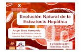 Evolución Natural de la Esteatosis Hepática · x6 %TG ; x2,5% HDLc x3,5 %Obesidad x2,5 %Ob. Visceral x4 %RI (HOMA) x2‐5 %Sd. Metabólico x3,5 [PCR‐us] Brea A, Mosquera D, Arizti