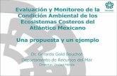 Evaluación y Monitoreo de la Condición Ambiental de los ... · Evaluación y Monitoreo de la Condición Ambiental de los Ecosistemas Costeros del Atlántico Mexicano ... Programa