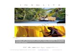 Kerala - Insoliteinsolite.net › home › images › stories › kerala-incentive.pdfLe Fort Cochin, le quartier juif, les pittoresques canaux de Allepey, les plantations d’épices