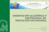 ORIENTACIÓN ACADÉMICA Y PROFESIONAL EN EDUCACIÓN … · ORIENTACIÓN ACADÉMICA Y PROFESIONAL EN EDUCACIÓN SECUNDARIA. Mª T. Pérez Pinto Coordinadora área Orientación vocacional