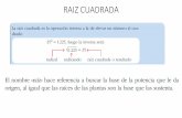 RAIZ CUADRADA - ampacolegioricocejudo.com...La raíz cuadrada es la operación inversa a la de elevar un número al cua- drado: 1225, luego la inversa será: 1225 = 35 radical radicando